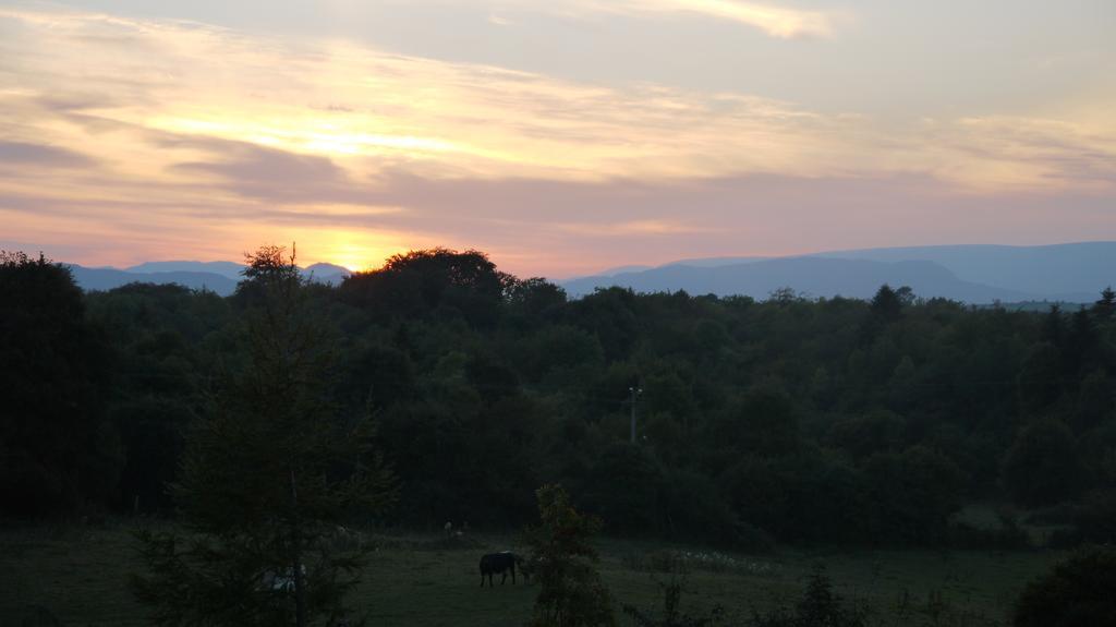 Nymphsfield House Bed and Breakfast Cong Εξωτερικό φωτογραφία